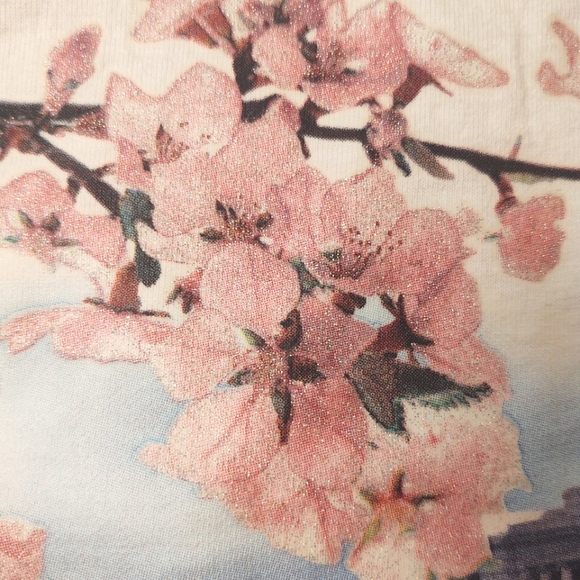 Washington DC White Pink Sparkly Floral Capitol Graphic Tee Size XLarge - Picture 4 of 9